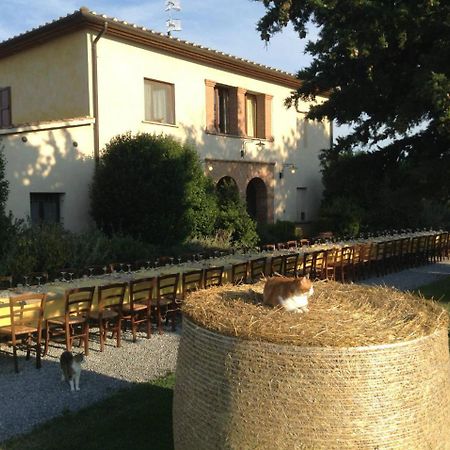 Agriturismo Giuncola & Granaiolo Rispescia Exteriér fotografie