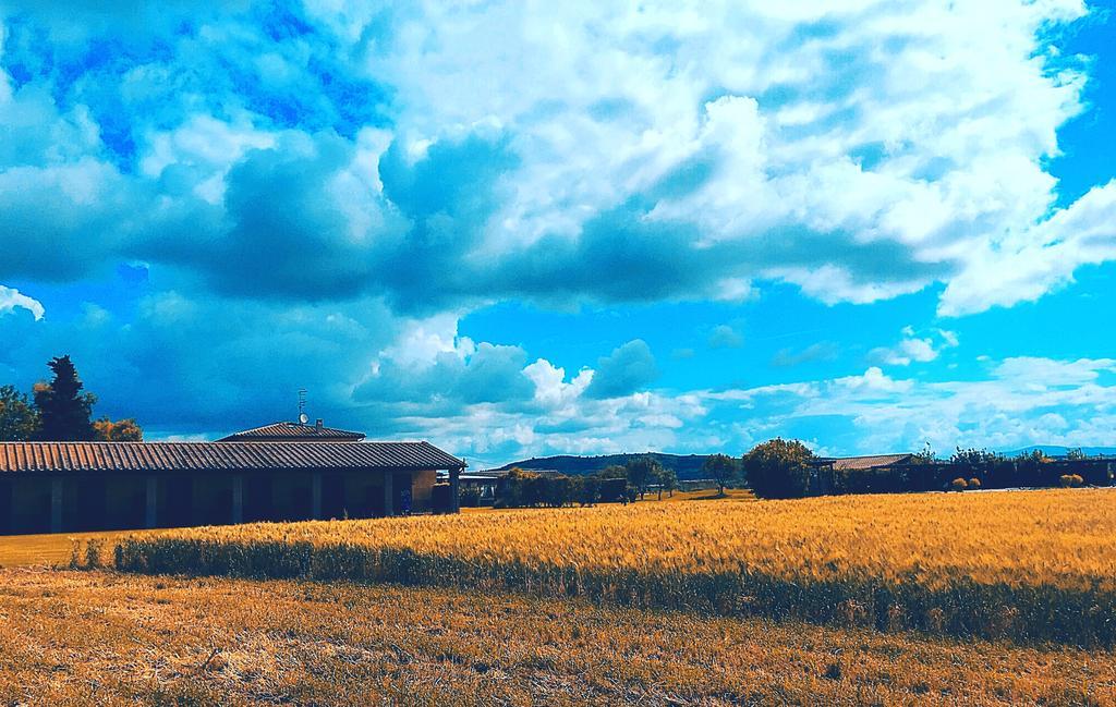 Agriturismo Giuncola & Granaiolo Rispescia Exteriér fotografie