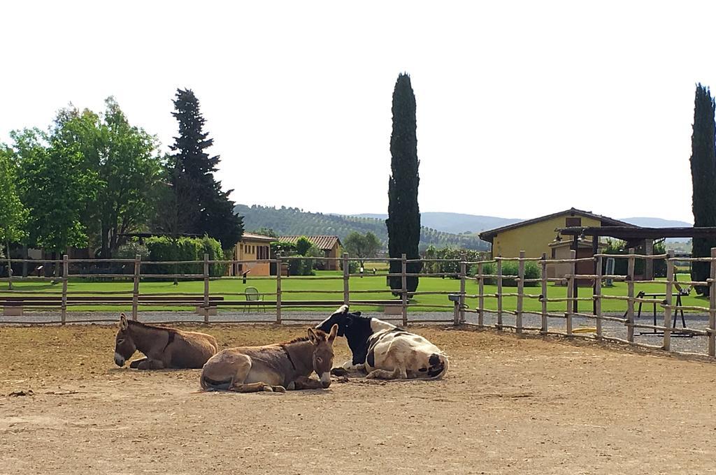 Agriturismo Giuncola & Granaiolo Rispescia Exteriér fotografie