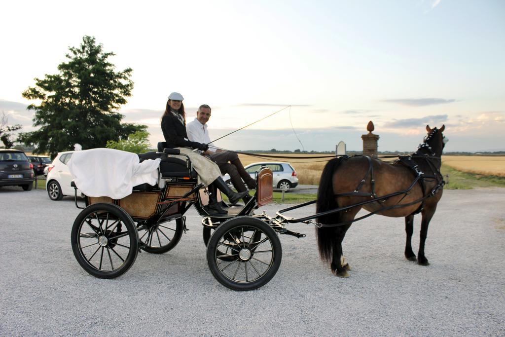 Agriturismo Giuncola & Granaiolo Rispescia Exteriér fotografie