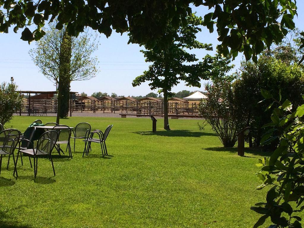 Agriturismo Giuncola & Granaiolo Rispescia Exteriér fotografie