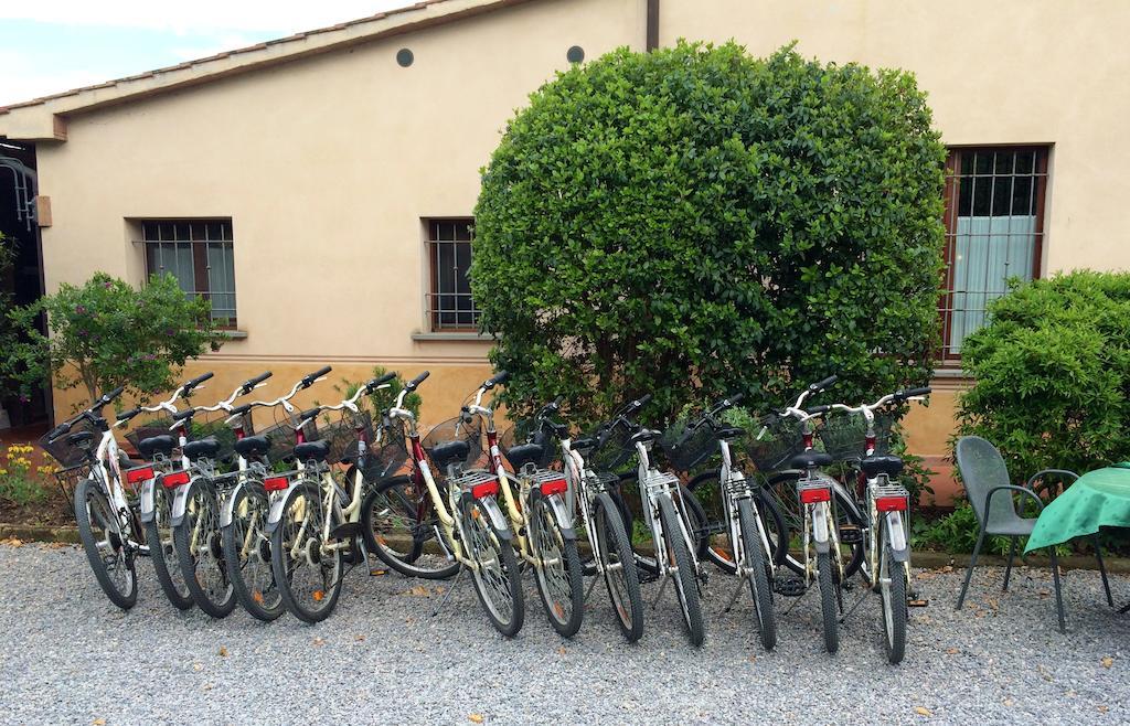 Agriturismo Giuncola & Granaiolo Rispescia Exteriér fotografie