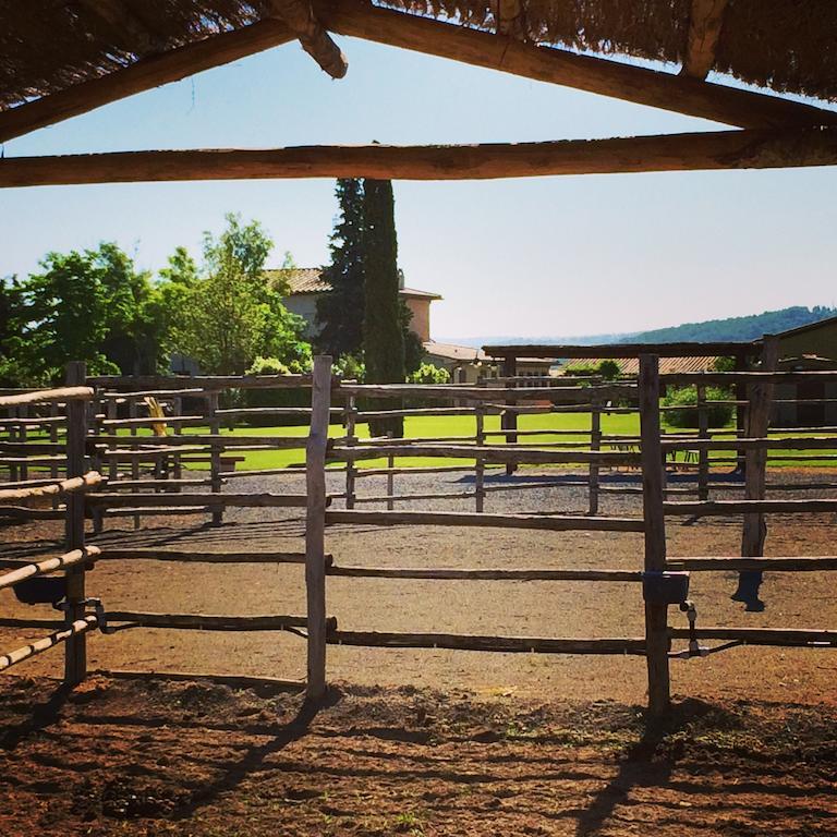 Agriturismo Giuncola & Granaiolo Rispescia Exteriér fotografie